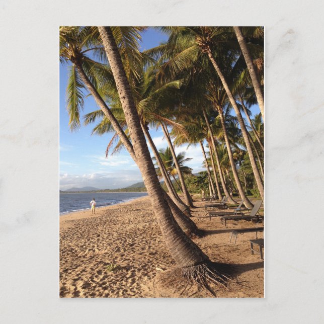 plage, palmiers à Palm Cove carte postale (Devant)