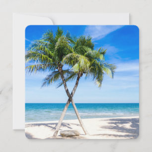 Plage Paradis Tropical Palmier Destinée Destinée'S