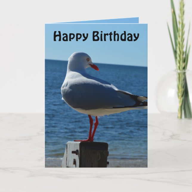 Plage Sea Gull, carte d'anniversaire (Devant)