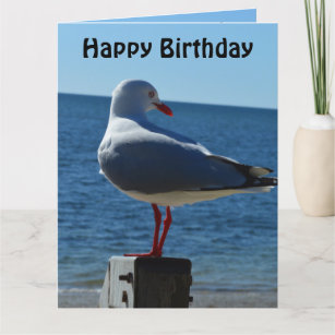 Plage Sea Gull, Jumbo Carte d'anniversaire