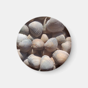 Plage Seashells, Magnet de vacances d'été