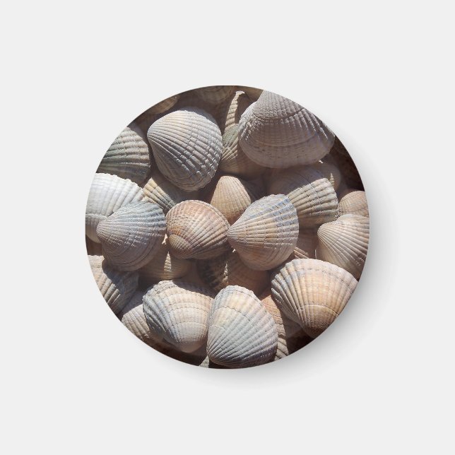 Plage Seashells, Magnet de vacances d'été (Devant)