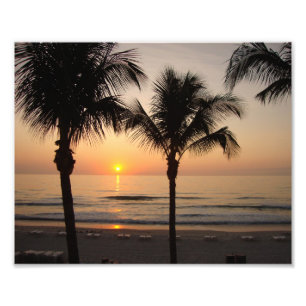 Plage Sunset Ocean Palm Tree Photographie Art Impr
