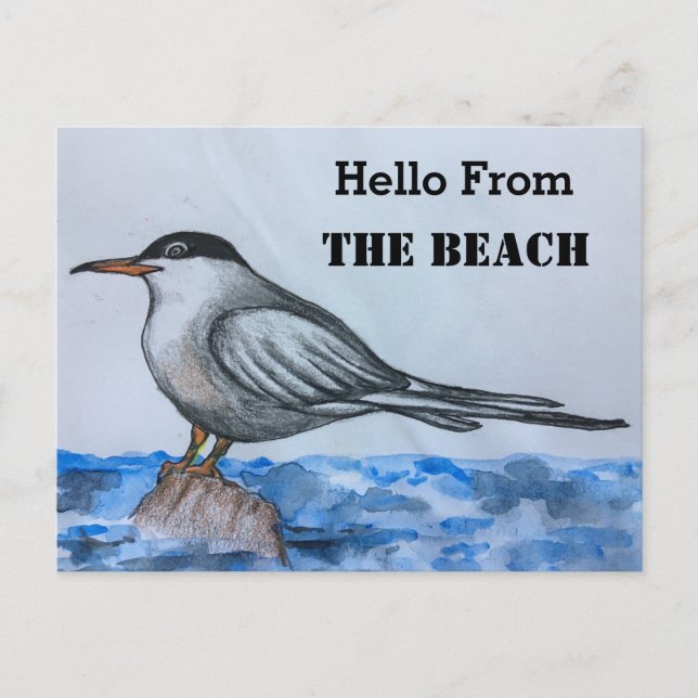 Plage Tern Seagull Hello Carte postale (Devant)