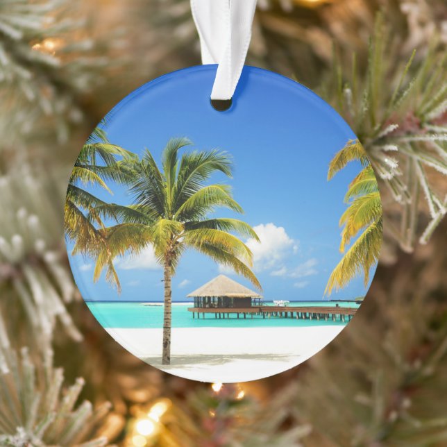 Plages tropicales | Île et lagon, Maldives (Arbre)