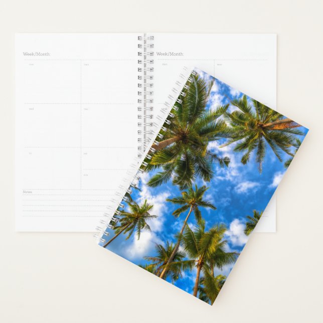 Plages tropicales | Palmiers sur le ciel bleu (Devant avec enveloppe)