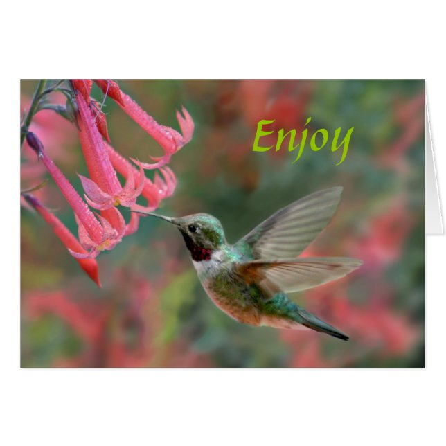 Plaisirs sucrés (Devant horizontal)