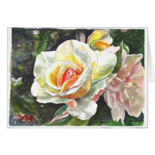 Plan rapproché des roses