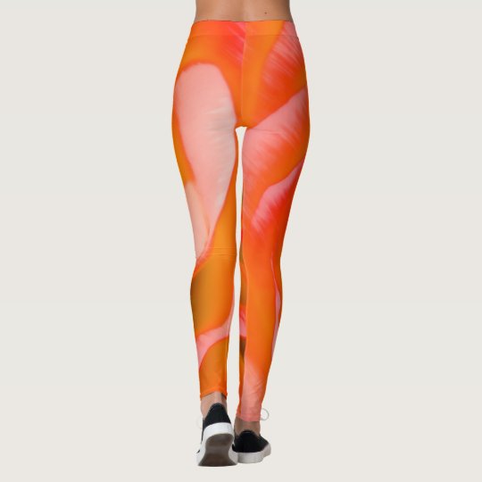 Plan rapproché orange de fleur de rose rouge leggings