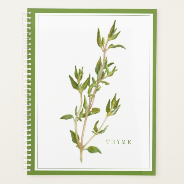 PLAN THYME 8,5x11 FRAIS / Vert (Devant)