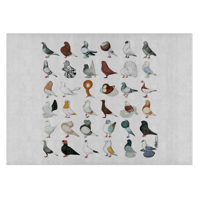 Planche À Découper 36 races de pigeons (Devant)