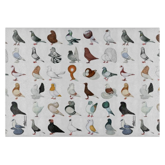 Planche À Découper 36 races de pigeons (Devant)