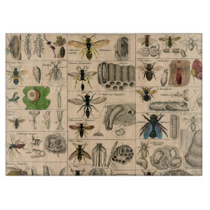 Planche À Découper Abeille Insecte Bug Guêpe Histoire Naturelle Abeil