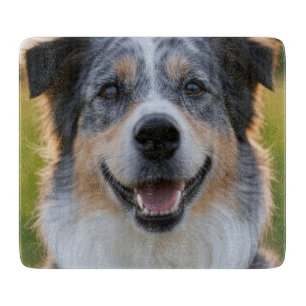 Planche À Découper Ajouter une Personnaliser photo pour animaux domes