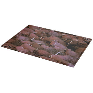 Planche À Découper Amérique du Nord, États-Unis, Alaska, Yukon Delta