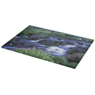 Planche À Découper Amérique du Nord, États-Unis, Washington, Mt. Rain