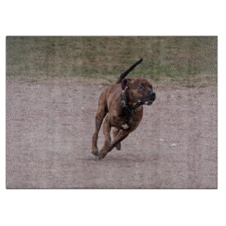 Planche À Découper Amstaff en cours