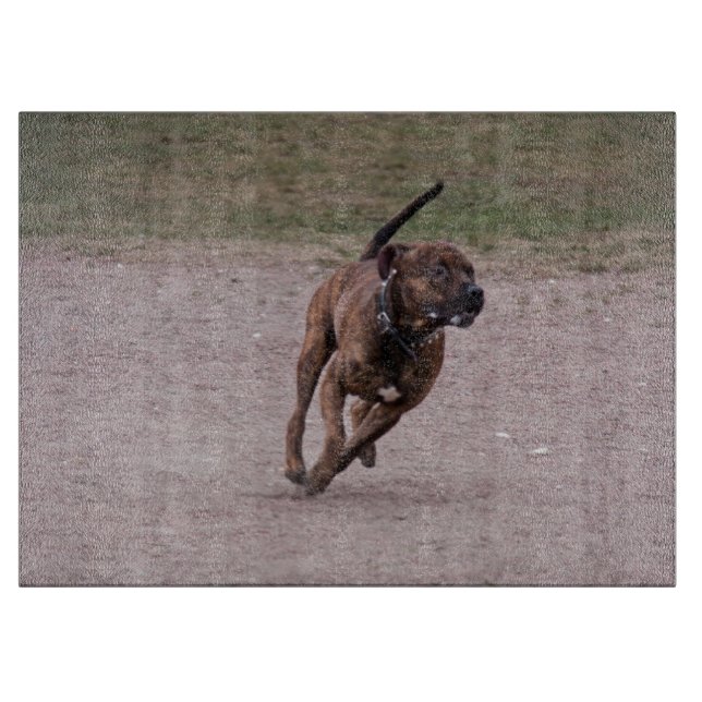 Planche À Découper Amstaff en cours (Devant)