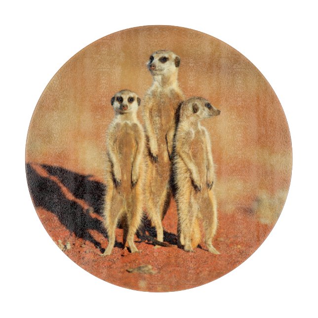Planche À Découper Animaux de bébés cutest | 3 Meerkats (Devant)