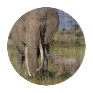 Planche À Découper Animaux de bébés cutest   Amama Elephant Avec Bébé