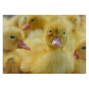 Planche À Découper Animaux de bébés cutest   Baby Duck Group