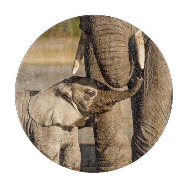 Planche À Découper Animaux de bébés cutest | Baby Elephant & Mama (Devant)
