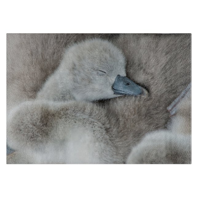 Planche À Découper Animaux de bébés cutest | Bébé Mute Swan (Devant)