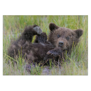 Planche À Découper Animaux de bébés cutest Bébé Ours Brown