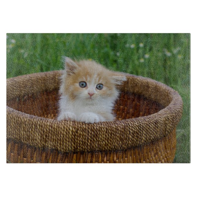 Planche À Découper Animaux de bébés cutest | Blue Eyed Kitten (Devant)
