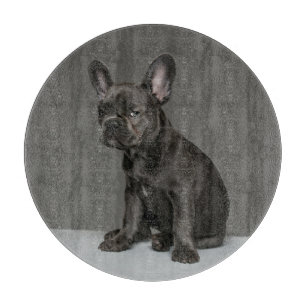Planche À Découper Animaux de bébés cutest Blue French Bulldog Pupp