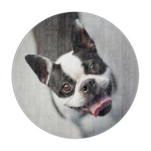 Planche À Découper Animaux de bébés cutest   Boston Bulldog Smile