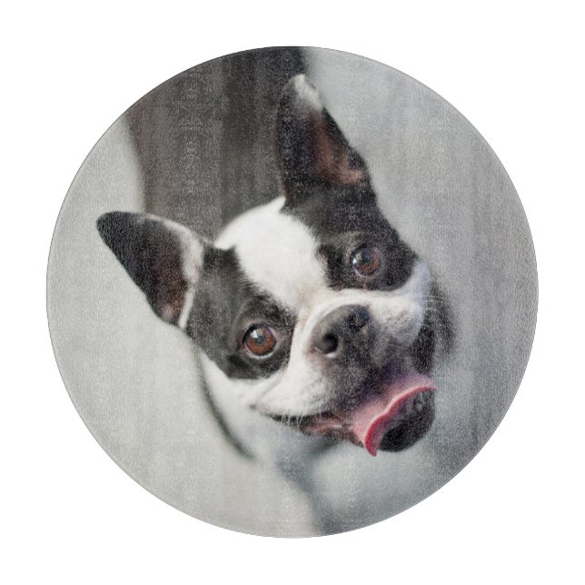 Planche À Découper Animaux de bébés cutest | Boston Bulldog Smile (Devant)