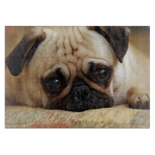 Planche À Découper Animaux de bébés cutest Carlin bébé chiot