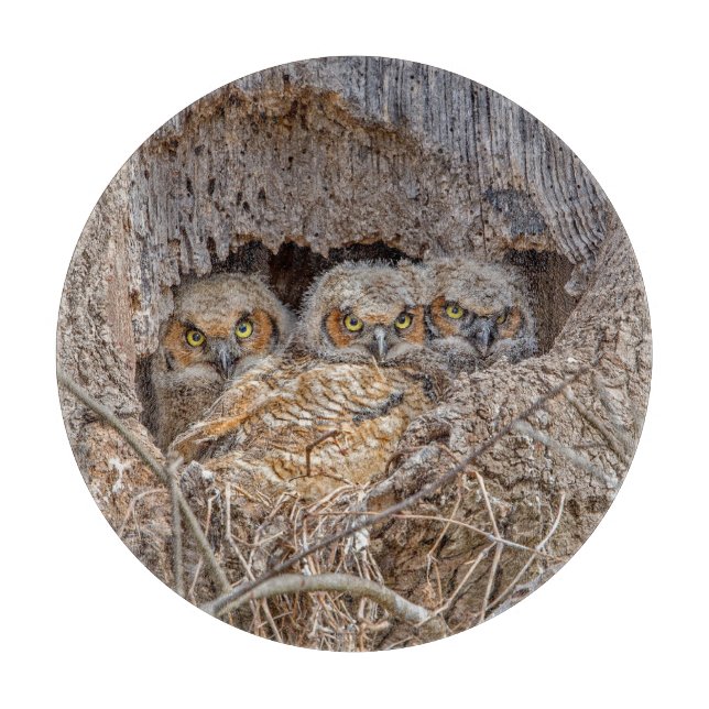 Planche À Découper Animaux de bébés cutest | Chiens à grande corne (Devant)