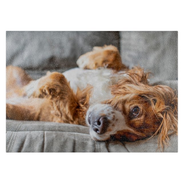 Planche À Découper Animaux de bébés cutest | Cocker Spaniel (Devant)