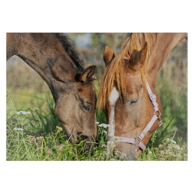 Planche À Découper Animaux de bébés cutest | Colt à cheval (Devant)
