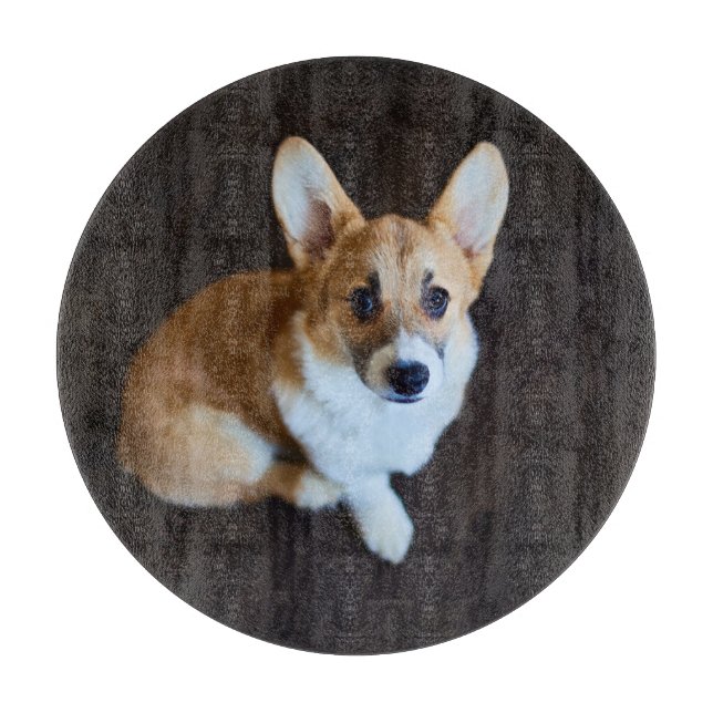 Planche À Découper Animaux de bébés cutest | Corgi levant les yeux (Devant)
