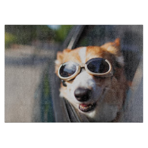 Planche À Découper Animaux de bébés cutest Corgi lunettes dans la v
