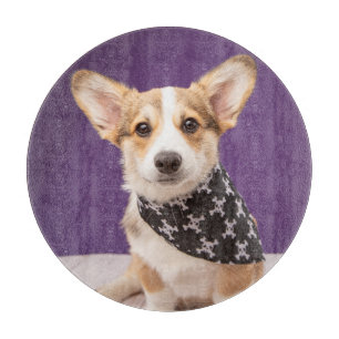Planche À Découper Animaux de bébés cutest Corgi Puppy Skull Bandan