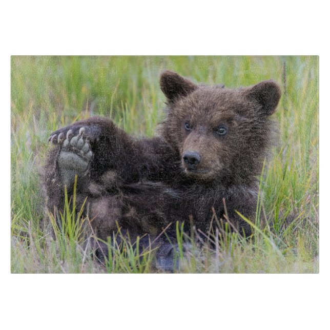 Planche À Découper Animaux de bébés cutest | Cute Brown Bear Cub Joue (Devant)