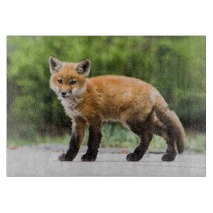 Planche À Découper Animaux de bébés cutest   Cutey Fox