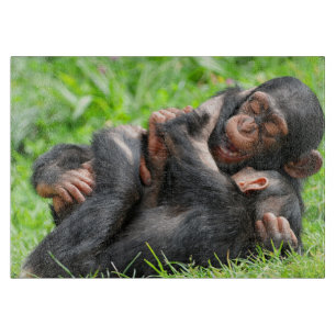 Planche À Découper Animaux de bébés cutest   Deux jeunes chimpanzés