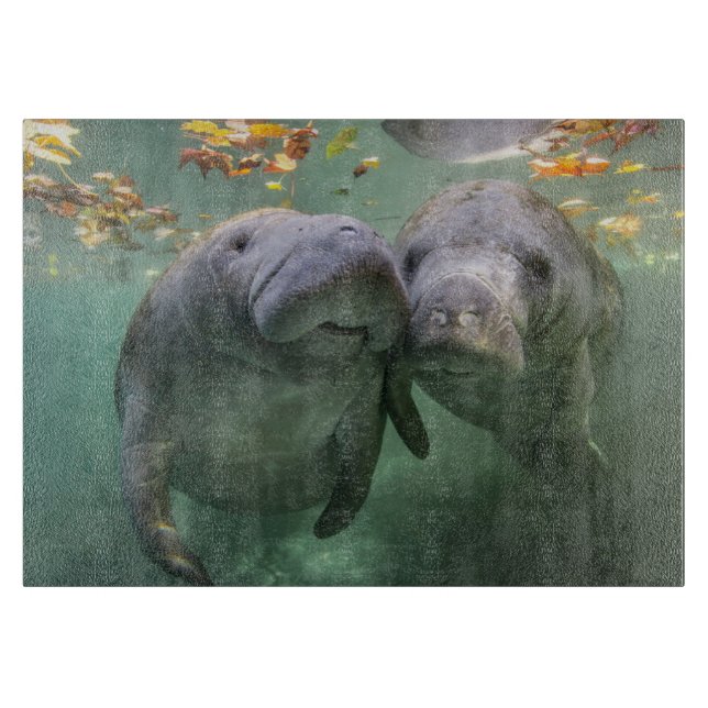 Planche À Découper Animaux de bébés cutest | Deux Manatees (Devant)