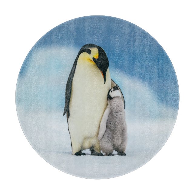 Planche À Découper Animaux de bébés cutest | Empereur Penguin Chick (Devant)