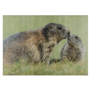 Planche À Découper Animaux de bébés cutest   Famille des marmottes al