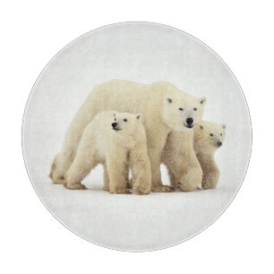 Planche À Découper Animaux de bébés cutest   Famille d'ours polaires