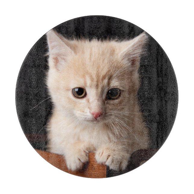 Planche À Découper Animaux de bébés cutest | Ginger Kitten (Devant)
