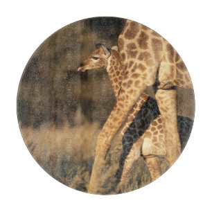 Planche À Découper Animaux de bébés cutest   Girafe bébé et parent