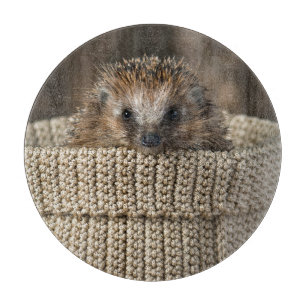 Planche À Découper Animaux de bébés cutest Hérisson dans un panier