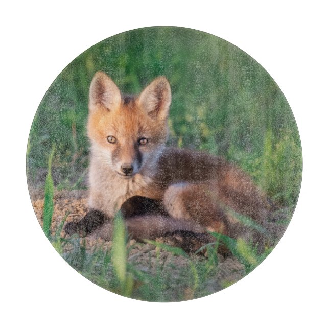 Planche À Découper Animaux de bébés cutest | Kit Red Fox Relaxant (Devant)